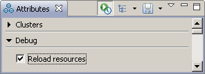 Debug attributes section